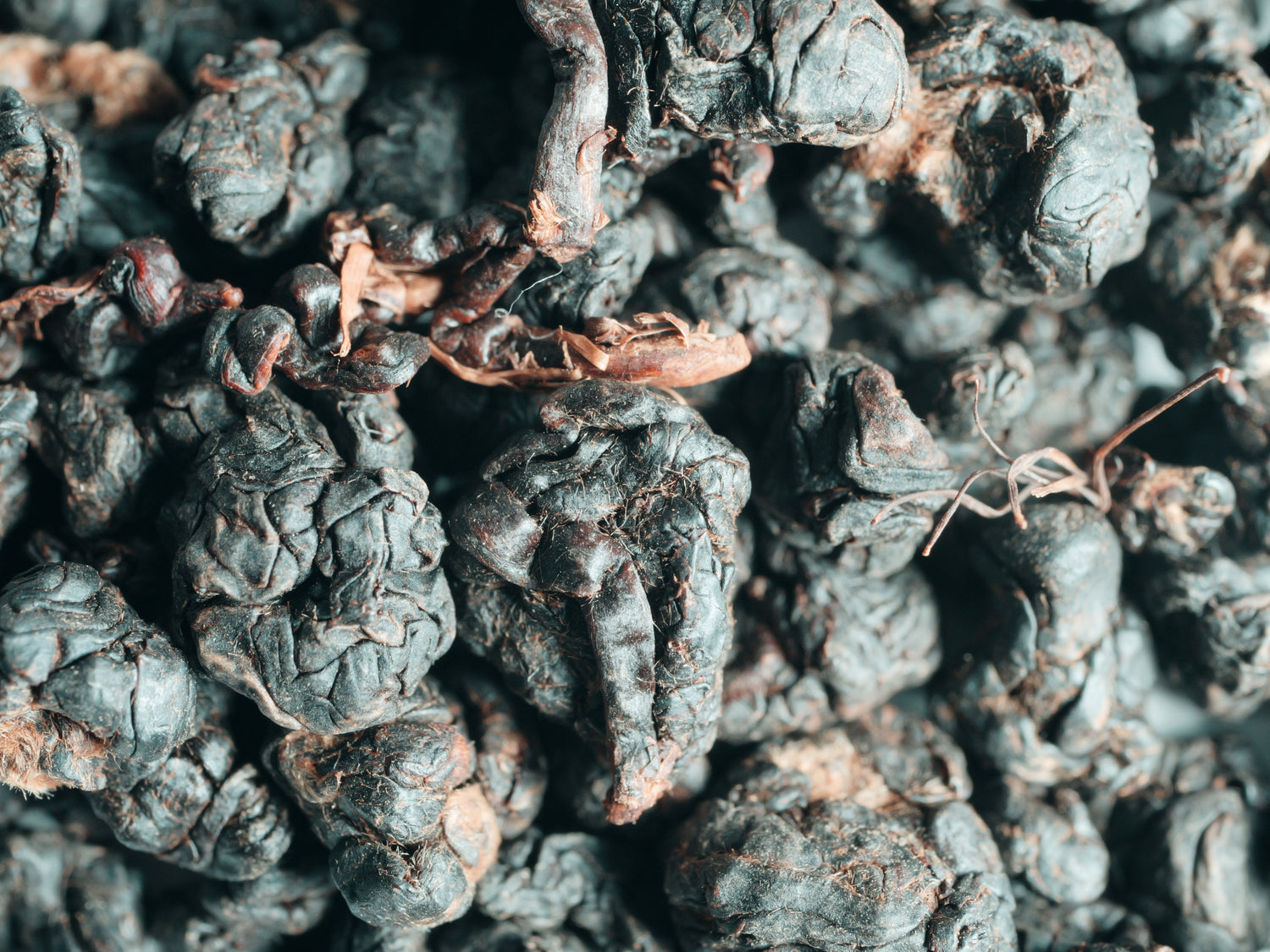 30g 金萱烏龍茶 茶葉